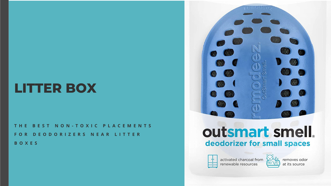 Where to Place a Litter Box Deodorizer for Best Results