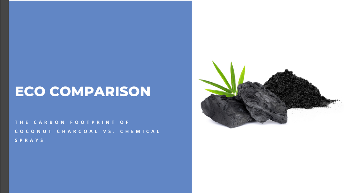 Coconut Charcoal vs. Chemical Sprays: Which Has a Smaller Carbon Footprint?